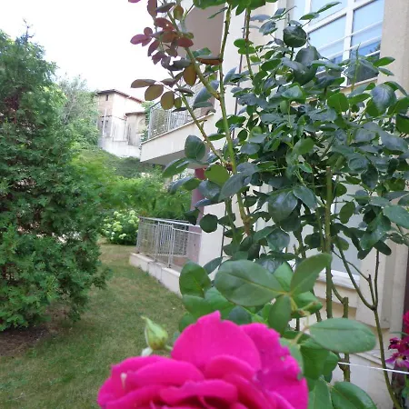 Hills Appartement *